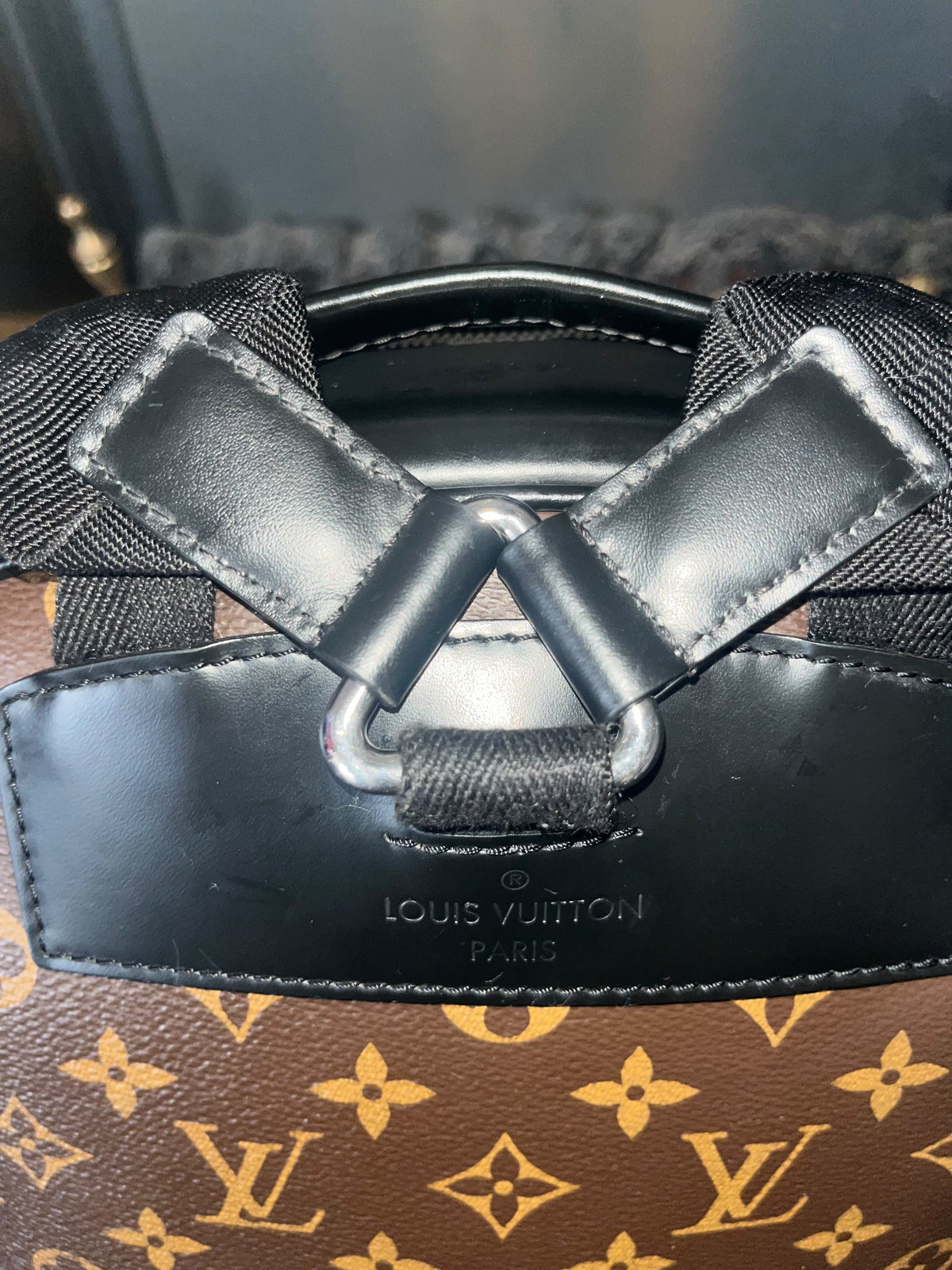 Louis Vuitton Monogram Macassar Josh Backpack