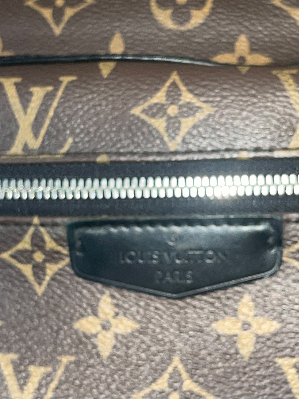 Louis Vuitton Monogram Macassar Josh Backpack
